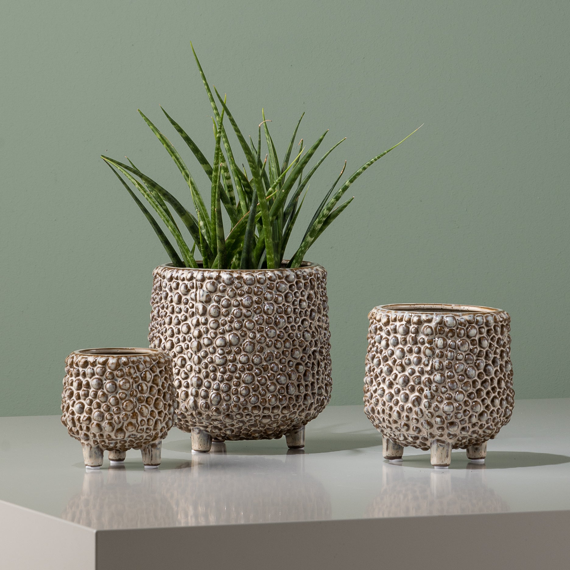 Dots stentøj urtepotte